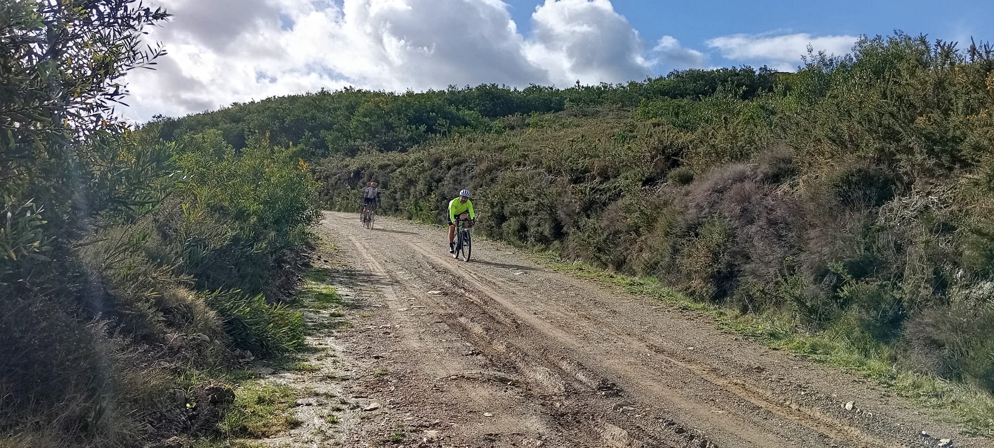 WhatsApp Image 2026-02-14 at 19.52.39