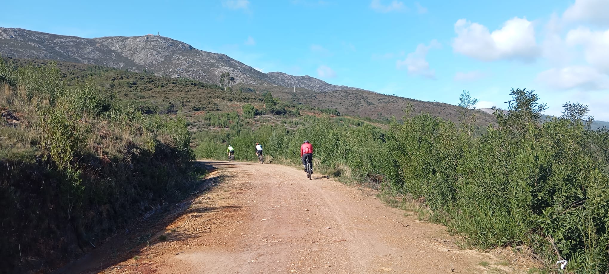 WhatsApp Image 2026-02-14 at 19.52.40 (1)