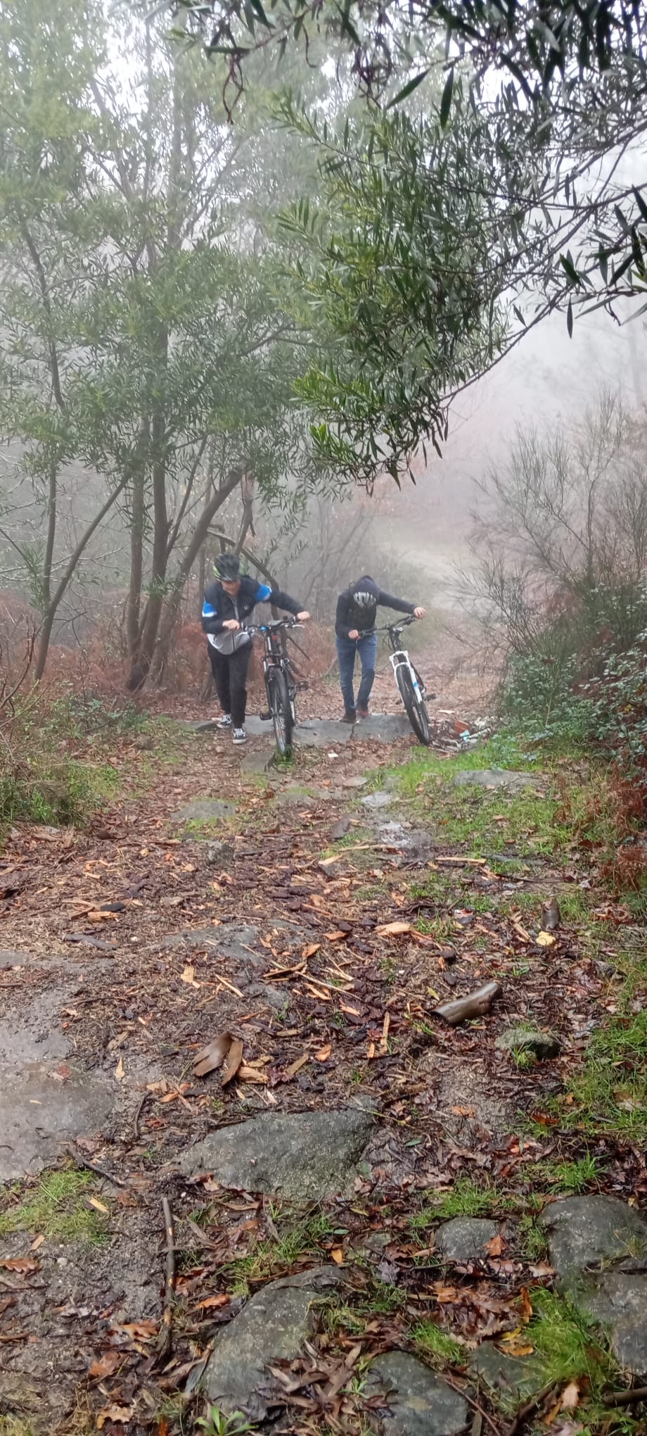 WhatsApp Image 2026-02-18 at 14.40.09 (1)