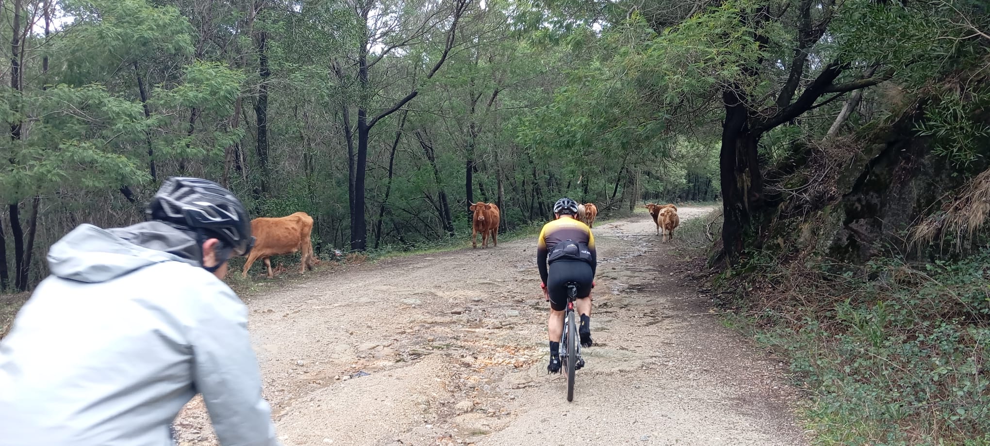 WhatsApp Image 2026-02-18 at 15.23.48