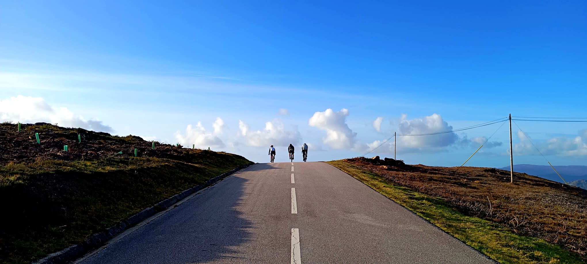 WhatsApp Image 2026-02-18 at 15.29.05