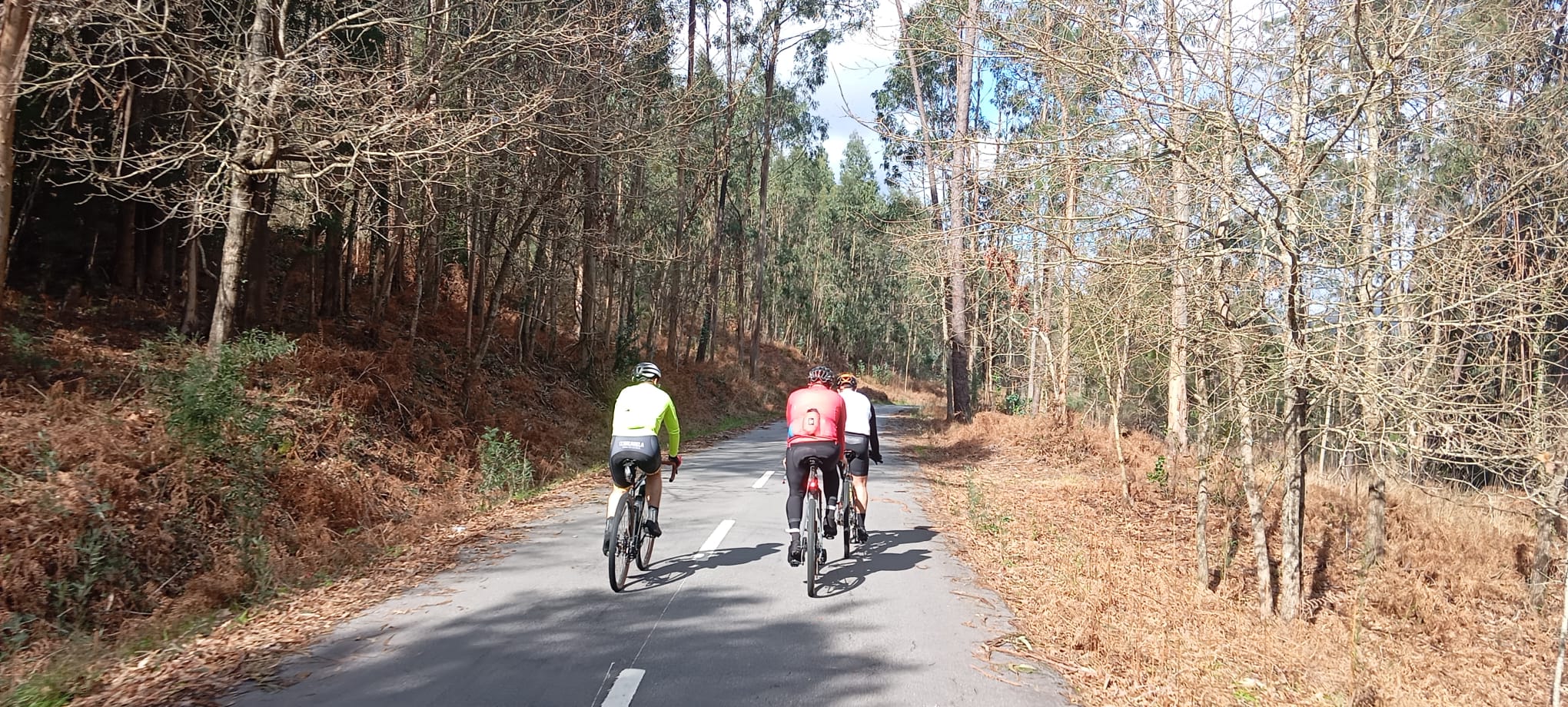 WhatsApp Image 2026-02-18 at 15.30.10